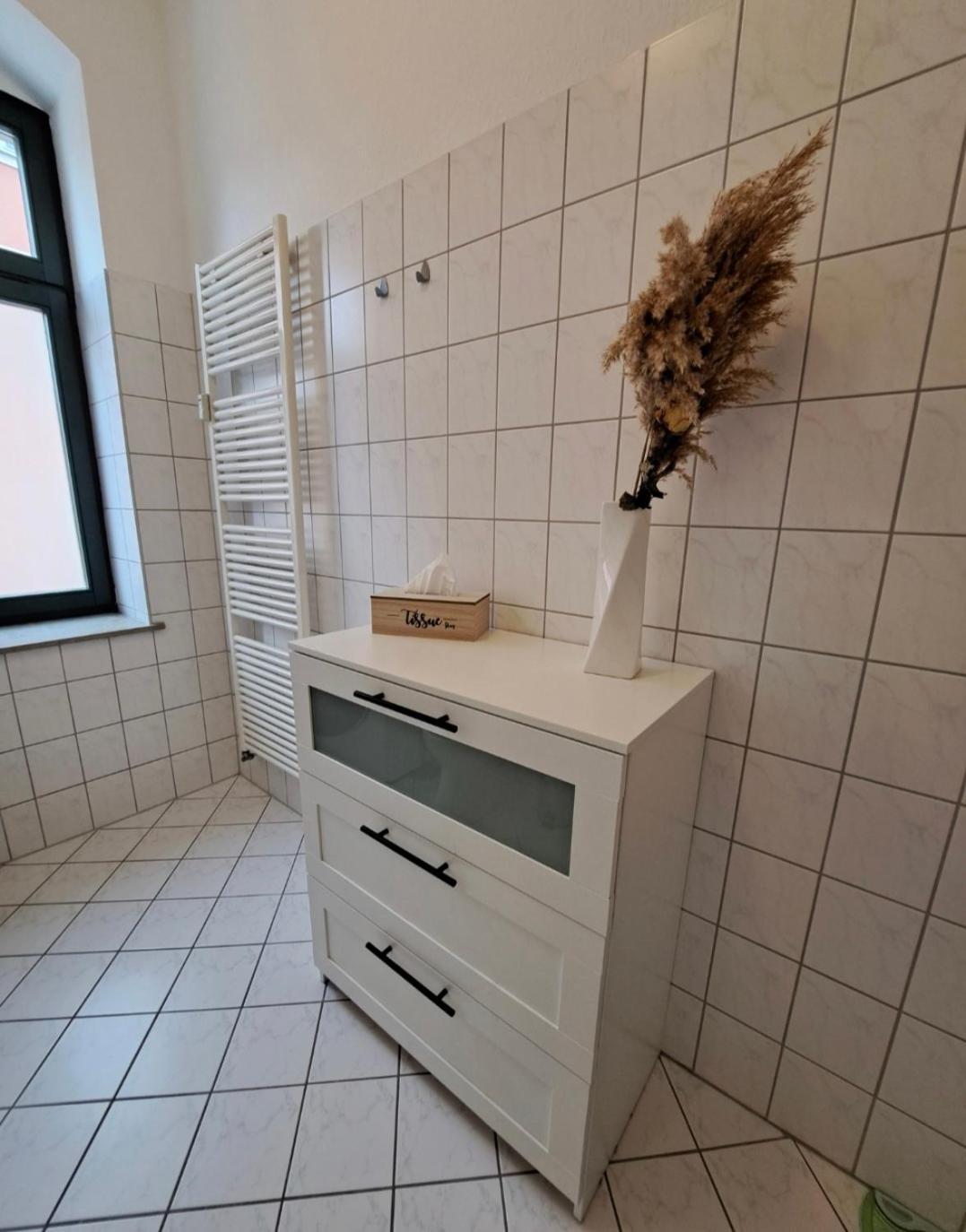 Stilvolle Ferienwohnung Dresden Dış mekan fotoğraf